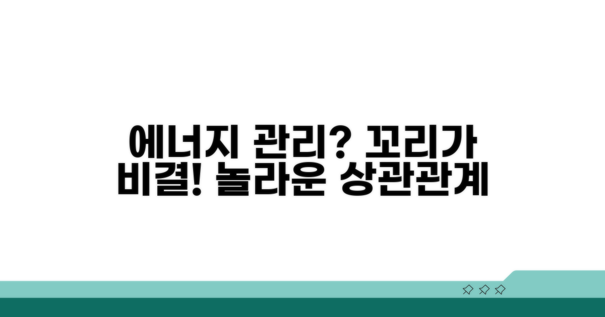 에너지 관리와 꼬리의 상관관계