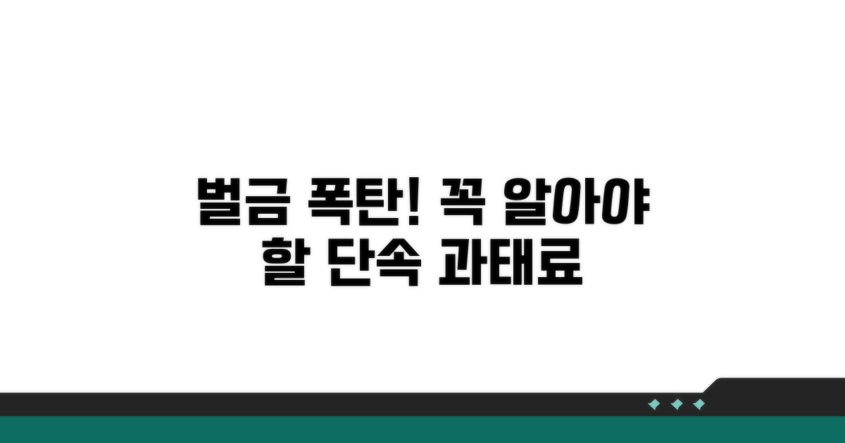 단속 대상과 과태료 정보