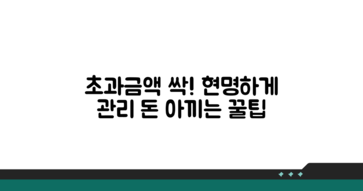 현명하게 초과금액 관리하기