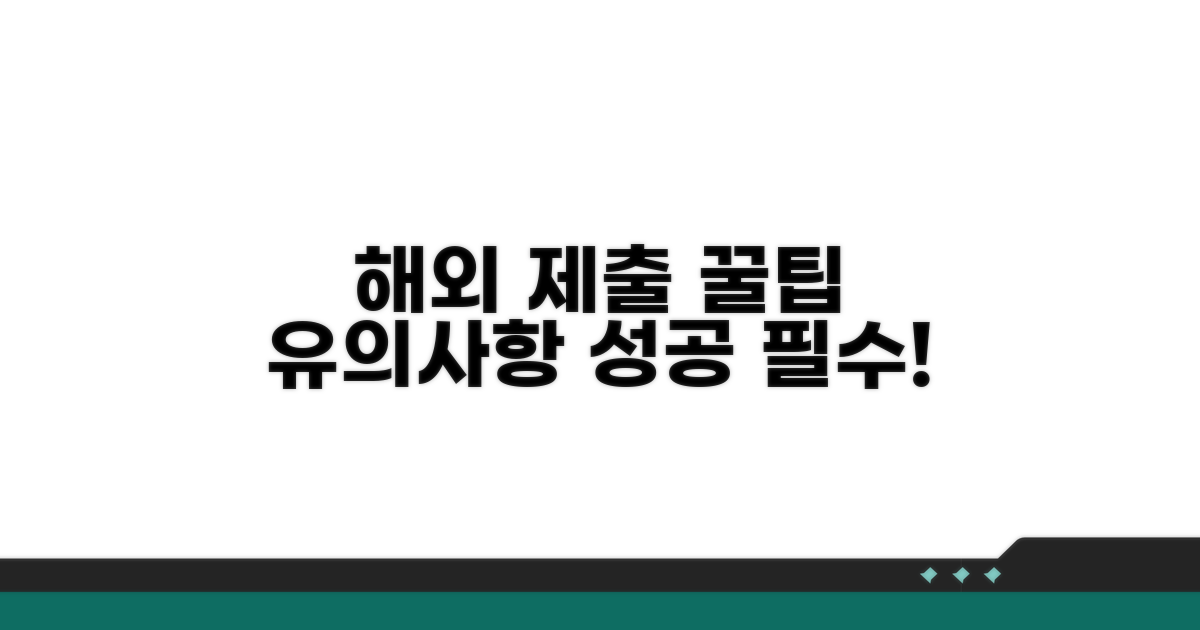 해외 제출 시 유의사항 꿀팁