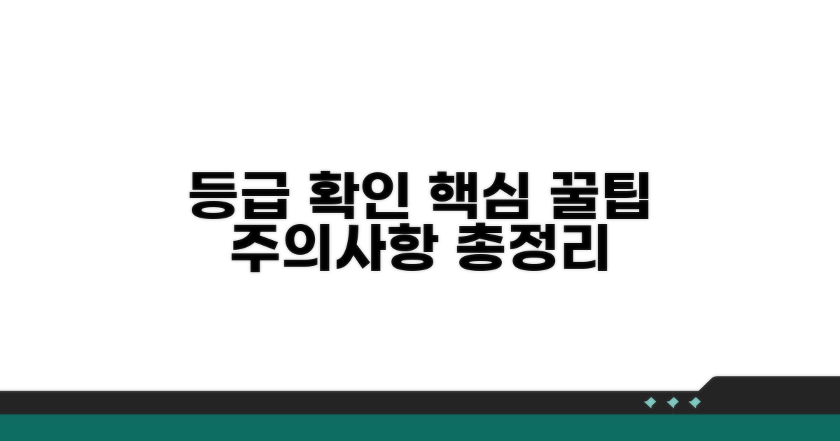 등급 확인 꿀팁과 주의사항 총정리