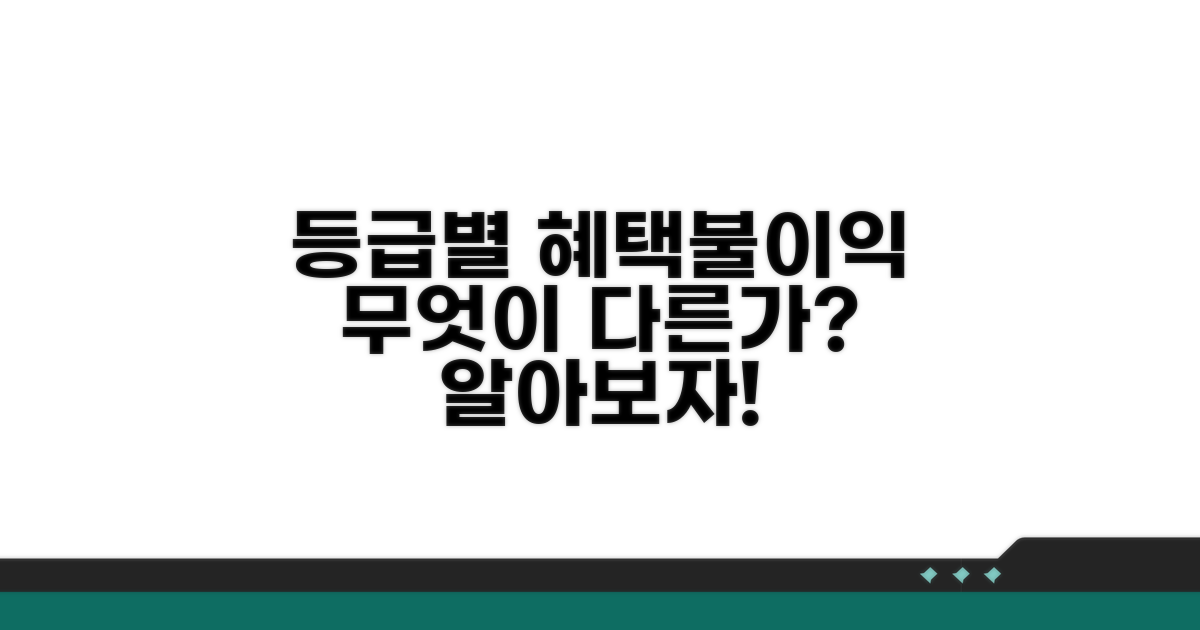 등급별 혜택과 불이익, 뭐가 다를까?