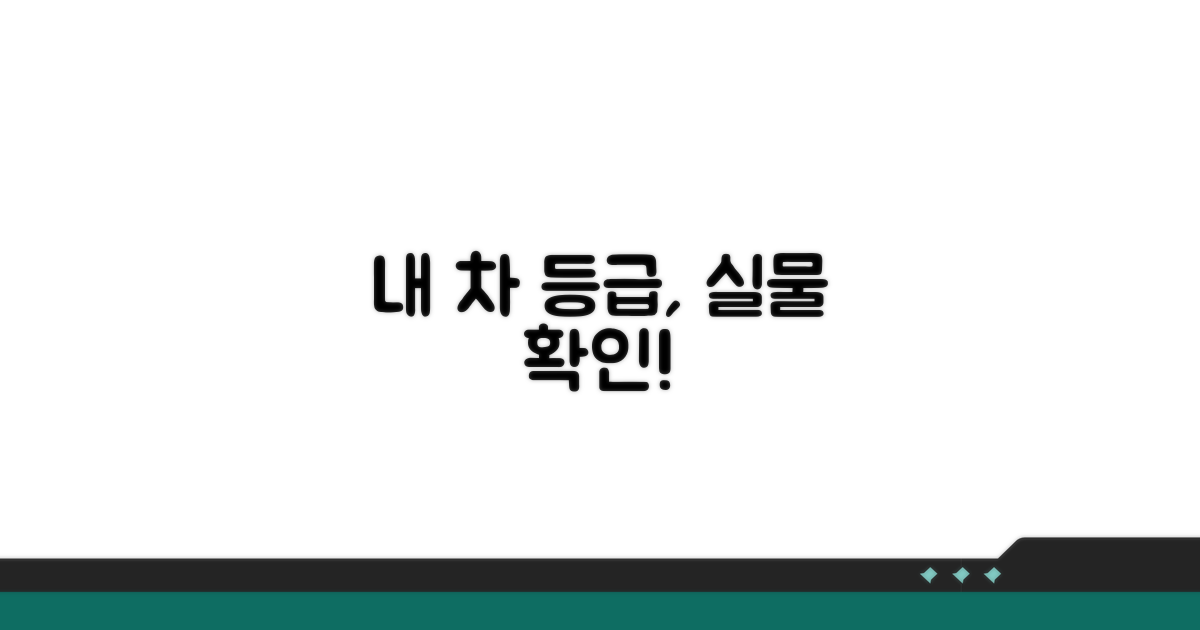 나의 차량 등급, 실물로 확인하는 방법