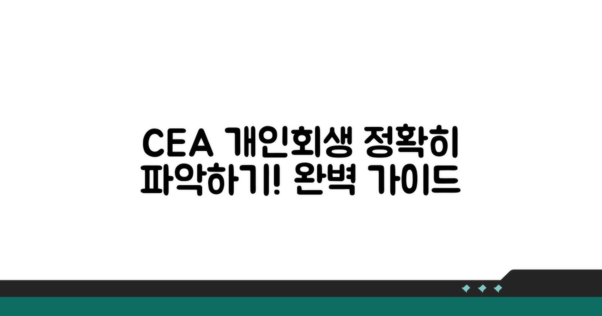 CEA 개인회생 절차 완벽 가이드