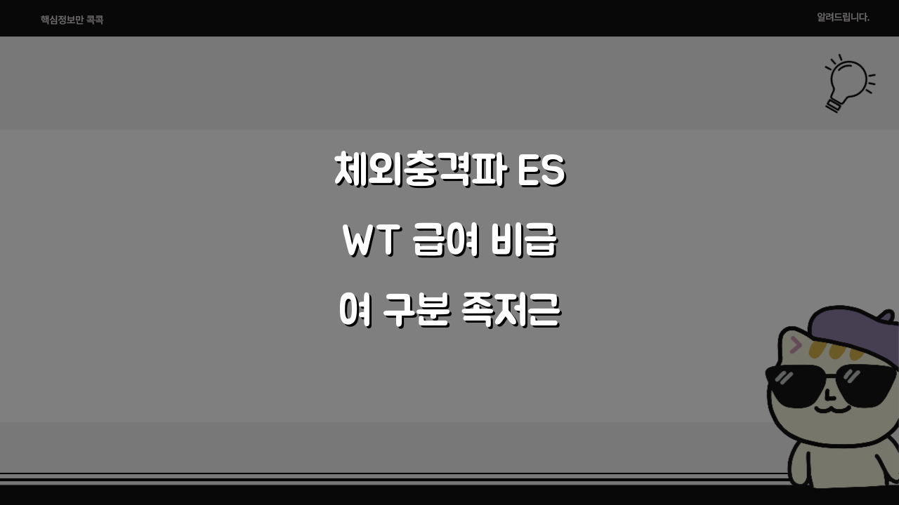 체외충격파 ESWT 급여 비급여 구분 족저근막염 석회성건염 실손 5가지 핵심 비교