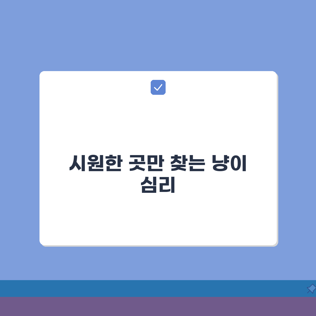 고양이가 선선한 곳만 찾아다니는 이유가 뭔가요 | 고양이 체온조절 | 더위 | 시원한 곳